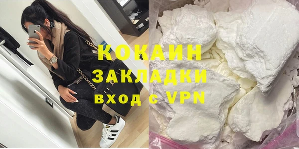 гашик Шали