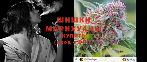 гашик Шали