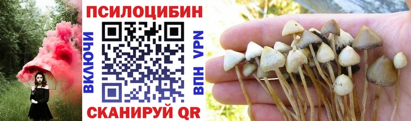 Псилоцибиновые грибы MAGIC MUSHROOMS  купить наркоту  Мезень 